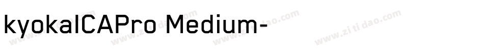 kyokaICAPro Medium字体转换